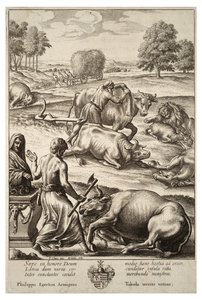 Peste bovina. Stato 2 da Wenceslaus Hollar